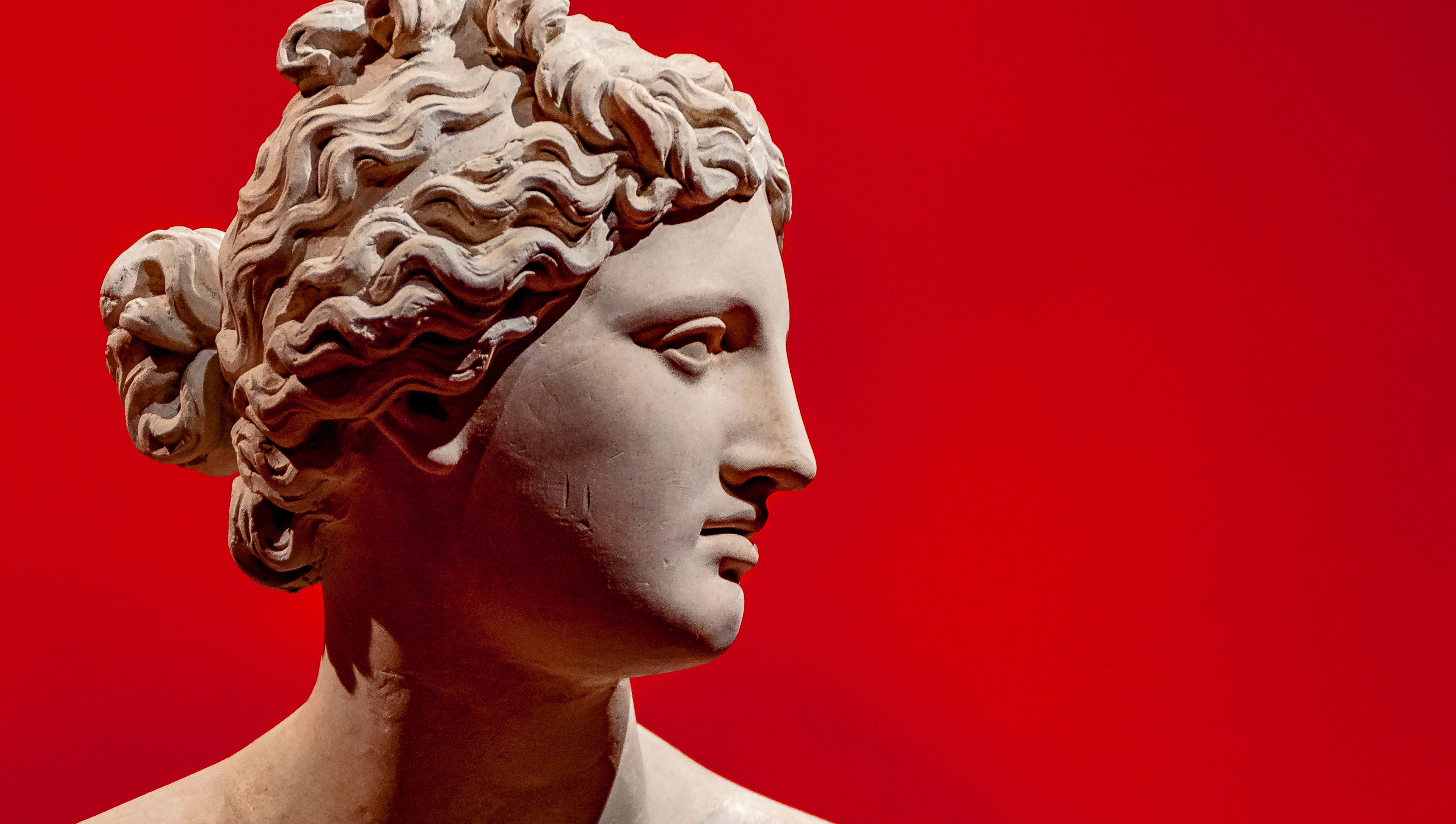 Descripción de la foto 2